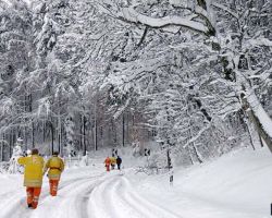 1. Starker Schneefall machte den Bäumen schwer zu schaffen