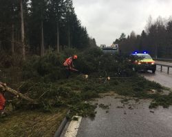 02. Auch die A52 war durch umgestuerzte Baume blockiert