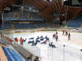 Hockeyspiel Davos 2012 Nr053